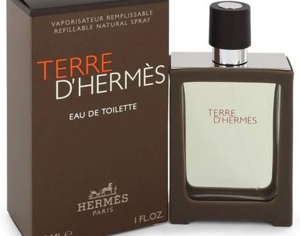 Terre D  Hermes for Men 50ml Eau de Toilette Spray Cheap