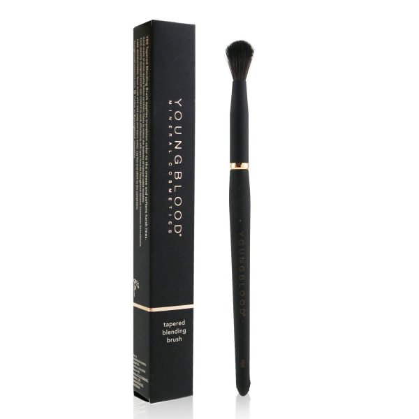 Youngblood YB8 Tapered Blending Brush Online Hot Sale