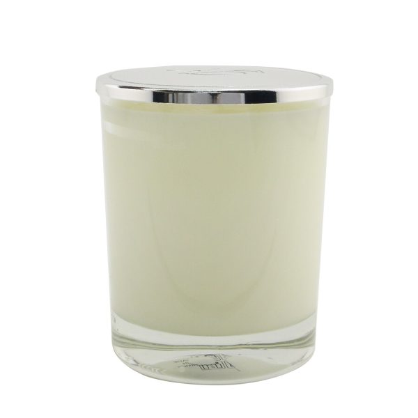 Nicolai Scented Candle - Musc Blanc  190g 6.7oz Hot on Sale