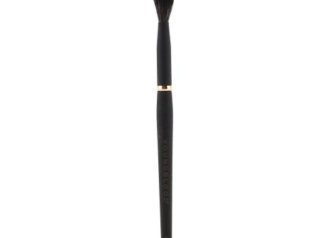 Youngblood YB8 Tapered Blending Brush Online Hot Sale