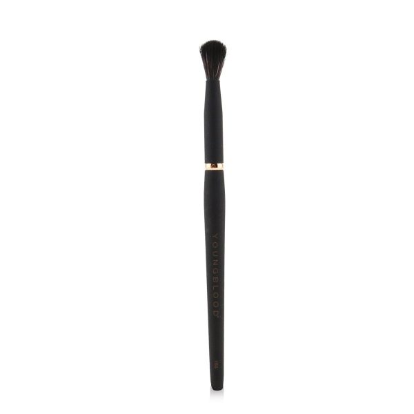 Youngblood YB8 Tapered Blending Brush Online Hot Sale