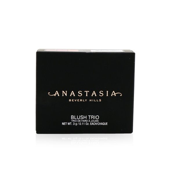 Anastasia Beverly Hills Blush Trio - # Pool Party  9g 0.33oz Online Hot Sale