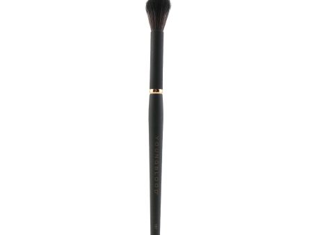 Youngblood YB7 Highlight Brush Online