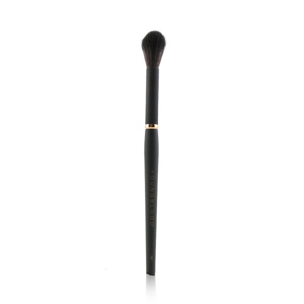 Youngblood YB7 Highlight Brush Online