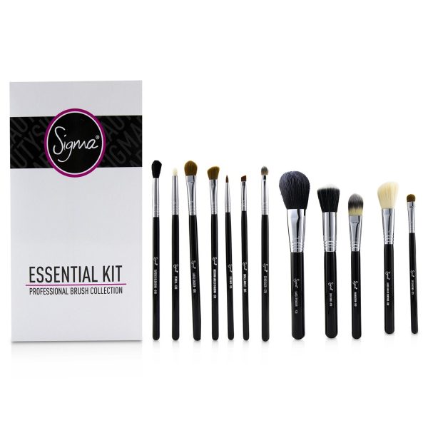 Sigma Beauty Essential Kit Professional Brush Collection - # Black  12pcs Discount