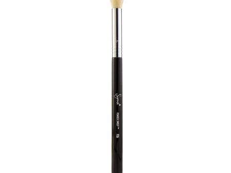 Sigma Beauty F06 Powder Sweep Brush Cheap