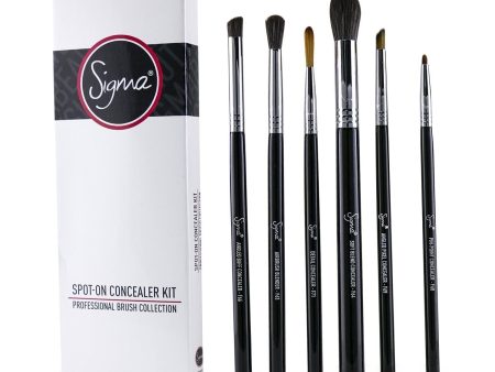 Sigma Beauty Spot On Concealer Kit Professional Brush Collection  6pcs Cheap